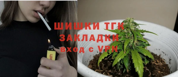 кокс Гусь-Хрустальный
