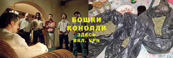 PSILOCYBIN Вязники