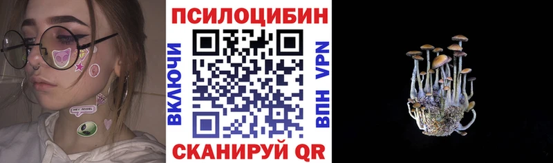 Псилоцибиновые грибы ЛСД Елабуга